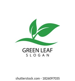 Green leaf logo ecology nature element vector icon