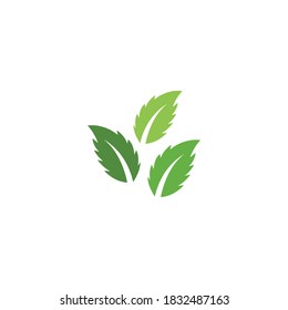 Green leaf logo ecology nature element vector icon
