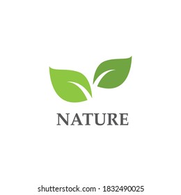 Green leaf logo ecology nature element vector icon
