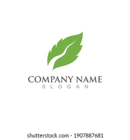 green leaf logo ecology nature element vector