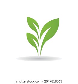 Green leaf logo ecology nature element vector icon
