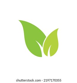 Grünes Blatt Logo Ökologie Naturelement Vektorsymbol