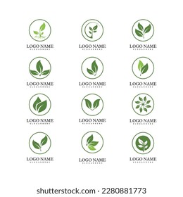 Green leaf logo ecology nature element vector icon