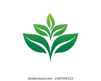 Green Leaf logo gradient colorful design