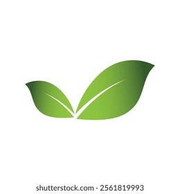 Green Leaf Logo Grapich Images 