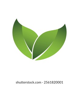 Green Leaf Logo Grapich Images 
