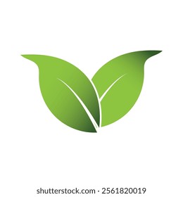 Green Leaf Logo Grapich Images 