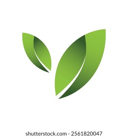Green Leaf Logo Grapich Images 