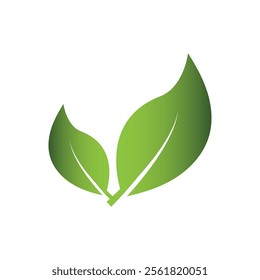 Green Leaf Logo Grapich Images 
