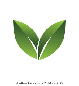 Green Leaf Logo Grapich Images 