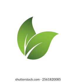 Green Leaf Logo Grapich Images 