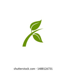 Green leaf logo icon design vector template