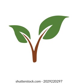 green leaf logo icon design vector