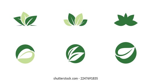 Plantilla de diseño de icono de la hoja verde