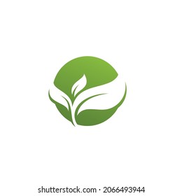 Green leaf logo icon  ecology element vector template