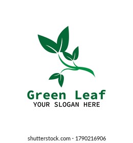 Logo-Symbol auf grünem Blatt auf Weiß