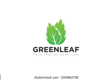 green leaf logo and icon Vector design Template. Vector Illustrator Eps10