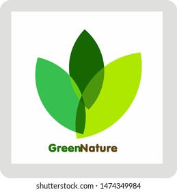 green leaf logo and icon Vector design Template and green nature set
