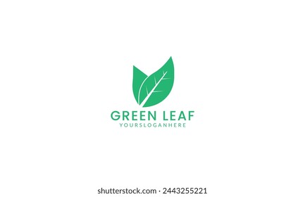 green leaf logo and icon Vector design Template. organic logo
