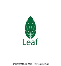 green leaf logo illustration design