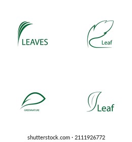 diseño de ilustración de logotipo de hoja verde