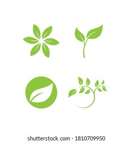  Green leaf logo illustration nature element vector 