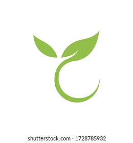 Green leaf  logo illustration  vector
