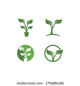 Diseño vectorial de la ilustración verde