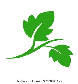 Logotipo verde de la hoja aislado en el fondo blanco