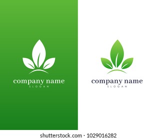 Green Leaf Logo, Nature, Floral, Green and Ecology Logo, Nature Element Vector Icon for Business Company with Green Color