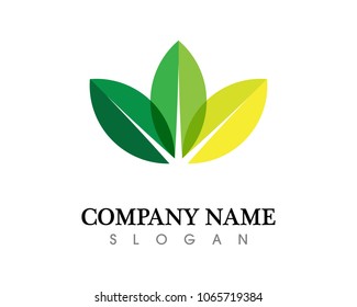 green leaf logo of nature and herbal, bio, ecology, vector and logo business, design logo botanical and floral leave, tree, icon health care,natural logo