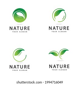 Green leaf logo  Nature icon design