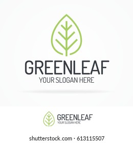 Green leaf logo set clean line style for use organic shop, ecology company, nature firm, natural product, alternative medicine, green unity, garden, farming, forest etc. Vector Illustration