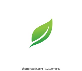 Green leaf logo and symbol vector