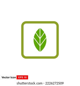 Logo de la hoja verde y plantilla de vector de símbolo