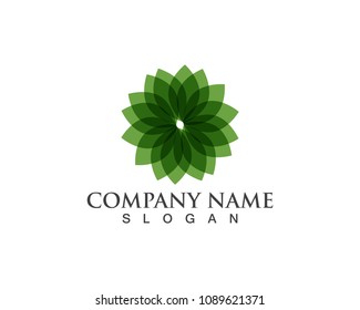 Green leaf logo and symbols vector template icons