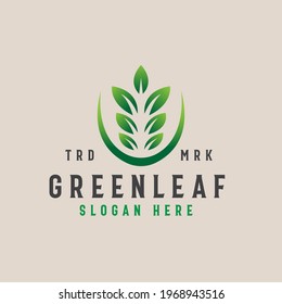 Green Leaf Logo Template with Green Gradient Color. Vector Illustration