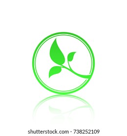 Green leaf logo template with reflect. Eco lifestyle concept.