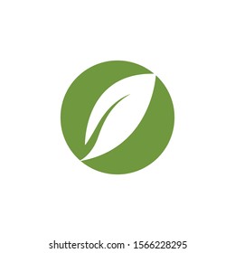 green leaf logo  template vector design icon 