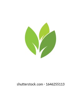 Green leaf logo template Vector icon