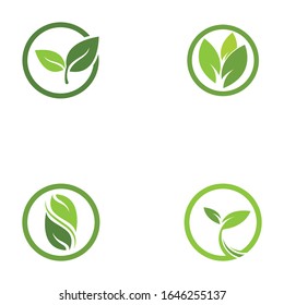 Green leaf logo template Vector icon