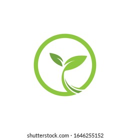 Green leaf logo template Vector icon