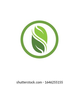 Green leaf logo template Vector icon