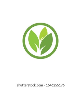 Green leaf logo template Vector icon