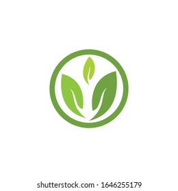 Green leaf logo template Vector icon
