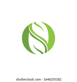 Green leaf logo template Vector icon