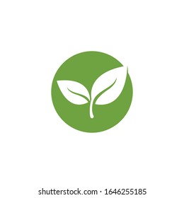 Green leaf logo template Vector icon