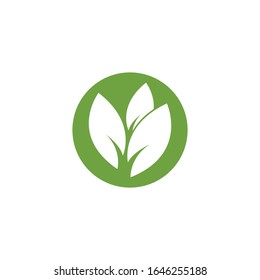 Green leaf logo template Vector icon