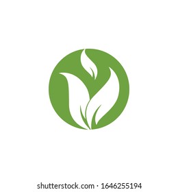 Green leaf logo template Vector icon