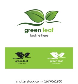 Green leaf logo template vector design